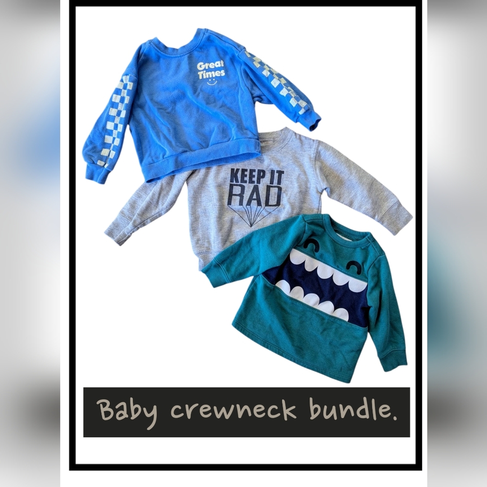 Baby Crewneck Sweatshirt Bundle.